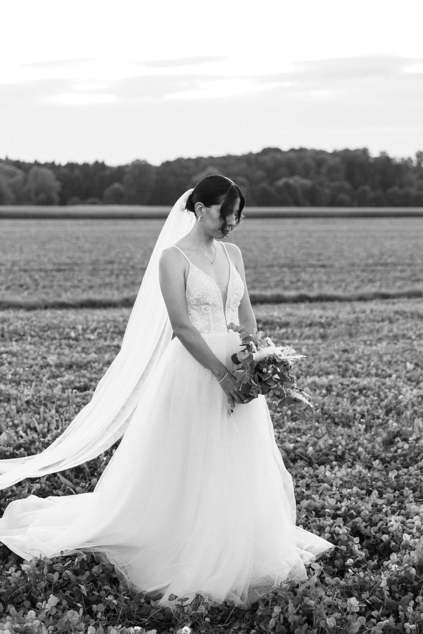 Highlight feedback Marie